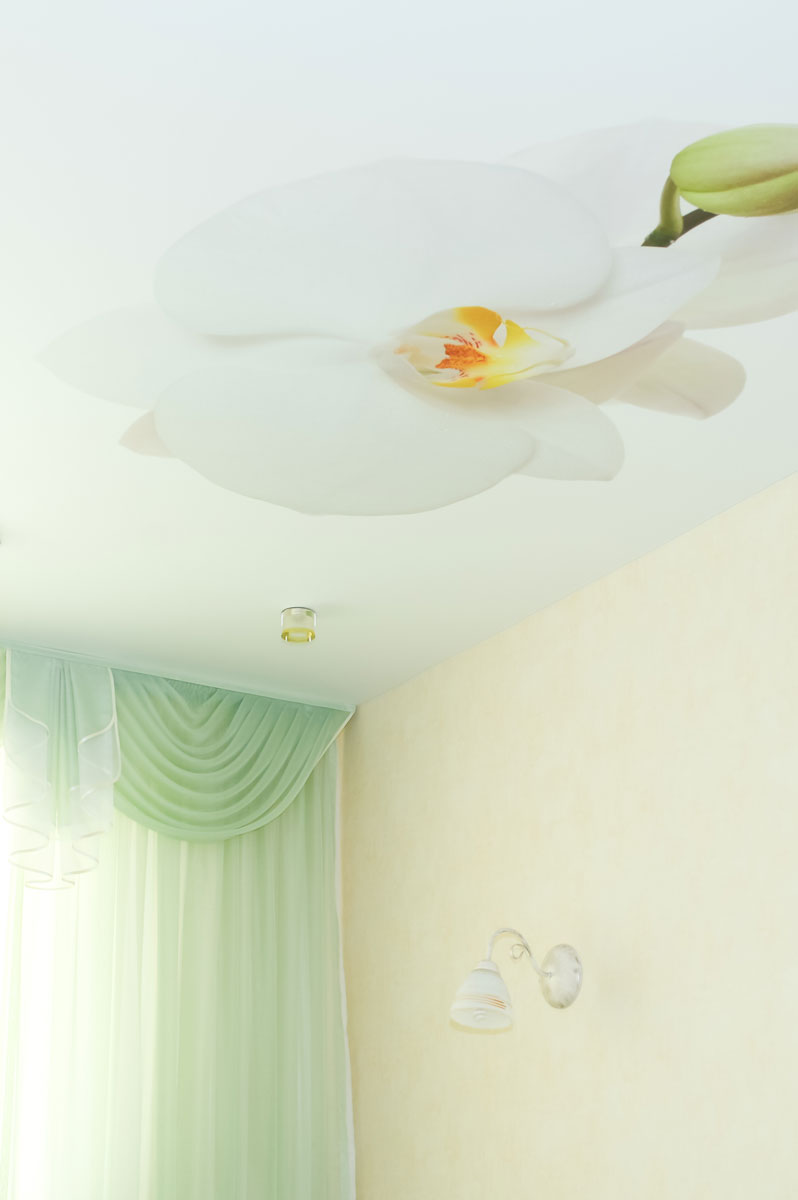 Fototrükk pinglagi - Findeco